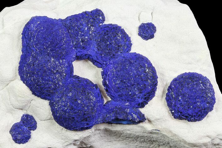 Brilliant Blue Azurite Sun Cluster On Rock - Australia #77310